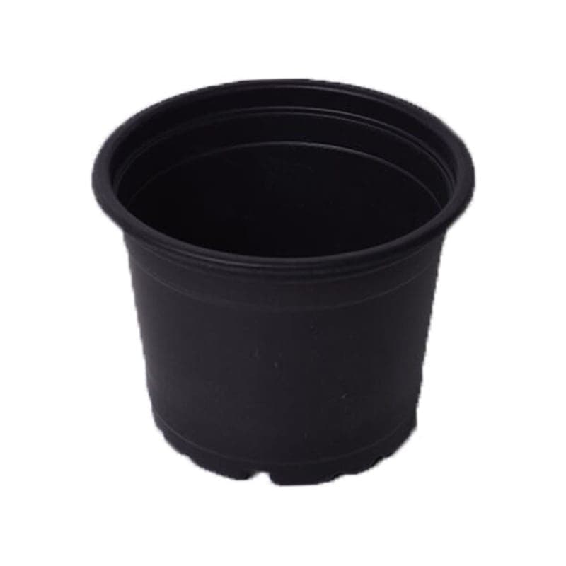 პლასტმასის ქოთანი TF87