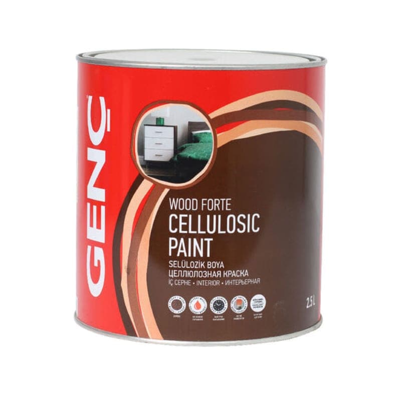 2.5 ლ საღებავი ნიტრო ფორთოხლისფერი-2104